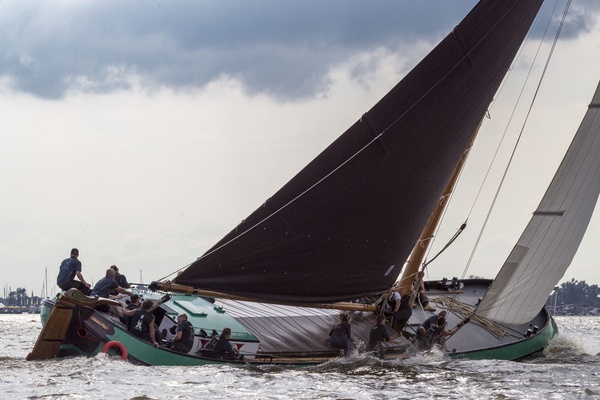 De Sneker Pan, Seizoen 2017